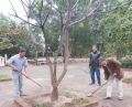 Trường THPT Lê Trung Kiên tổ chức “Tết trồng cây”